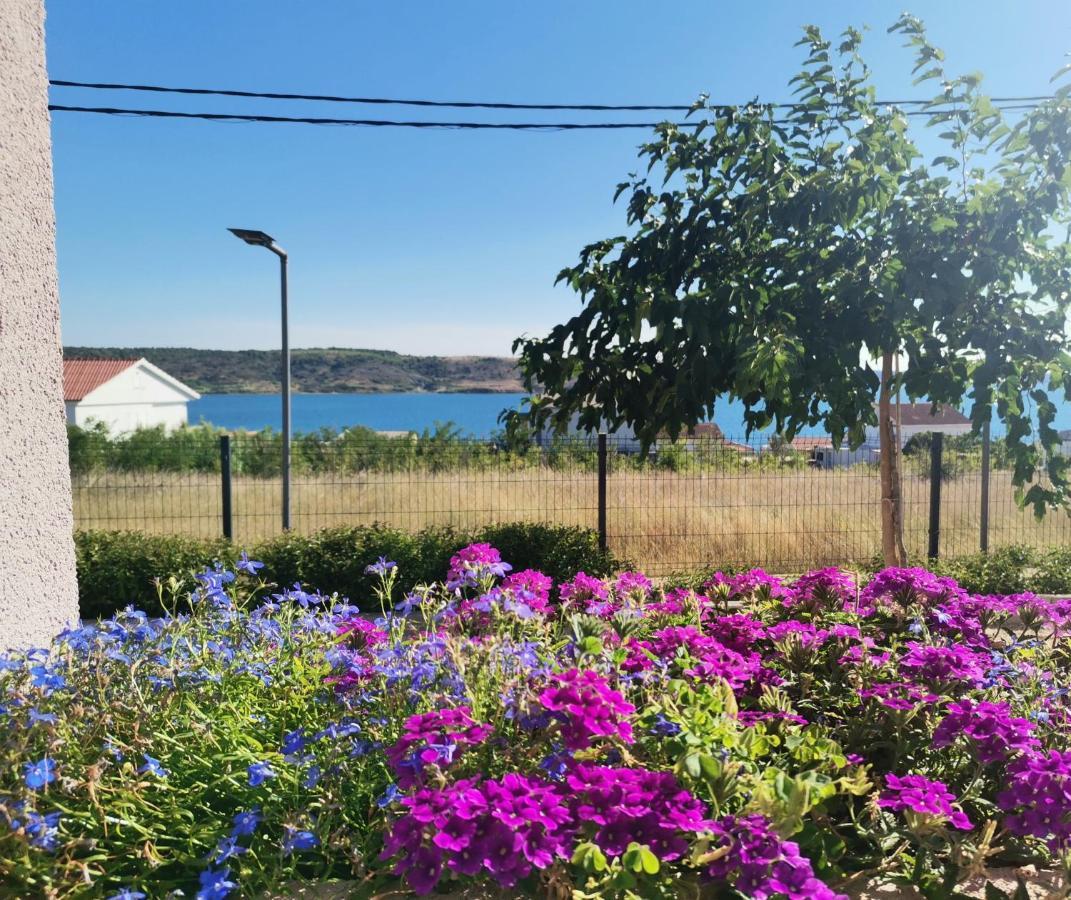 Apartmani Darko Rtina Exterior photo